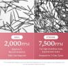 imagemedicube Zero Exosome Shot 2000 PPM Spicule Facial Serum  Liquid Skin Booster Serum  Exosome AHABHAPHA  Pore Care Dead Skin Cells Skin Texture  Korean Skin Care 101 flozPDRN 7 500