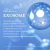 imagemedicube Azelaic Acid Exosome Shot Serum 7500  Deep Hydration for Smooth Even Skin Texture  Use for After Spot Care with Azelaic Acid Niacinamide  Korean Skincare 30ml  101 flozZero 7 500